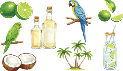 Tropical ingredients including limes coconuts and parrots with bottles of liquid on a white background creating a vibrant and refreshing composition
