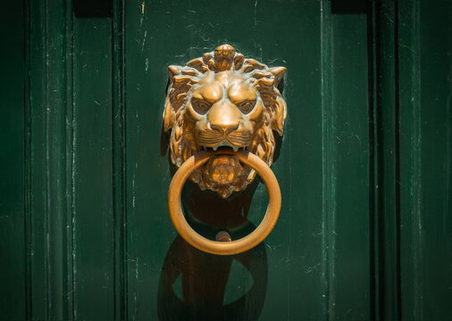 Close-up view of beautiful doors with elegant decorative door handles. Stylish architectural detail, classic design elements, and refined craftsmanship in home or exterior decor.