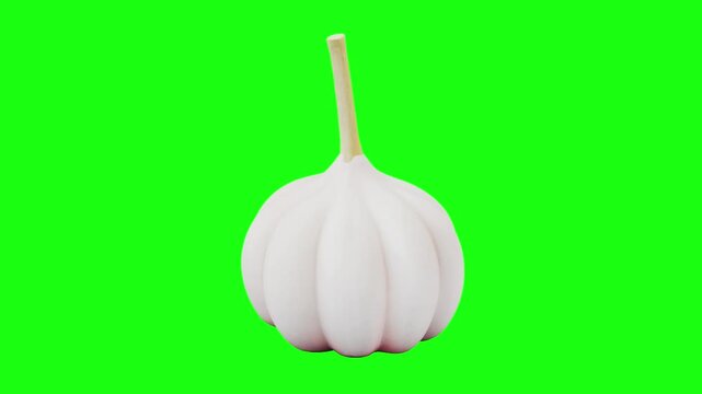 3D garlic animated on green screen background