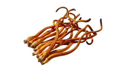 A cluster of dried cordyceps militaris mushrooms isolated on white background