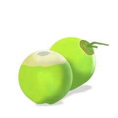 illustration green coconut on white background