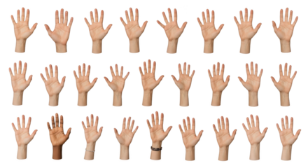 Professional diverse hands raised on white background showing hands, diversity, inclusion suitable for corporate presentation, editorial