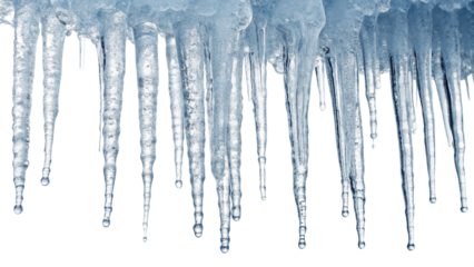 A closeup view of numerous sharp icicles hanging, glistening with water droplets, isolated on transparent background