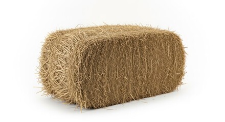 Golden-brown rectangular bale of dry hay or straw on a stark white background
