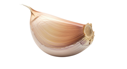 Fresh garlic clove isolated on white captured artistically highlighting garlic, clove, bulb ideal for media content,