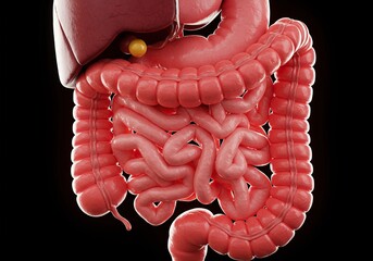 Vibrant conceptual rendering of the intricate digestive tract, symbolizing healthy internal processes, nutrient absorption, and overall gut wellness ,internal organs ,metabolism ,healthy eating