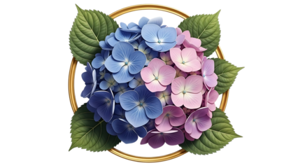 Hydrangea flower arrangement with gold frame blue and pink isolated on transparent background