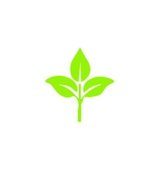 Green plant vector illustration with leaves and branch, a nature and eco life growth concept design isolated on white background