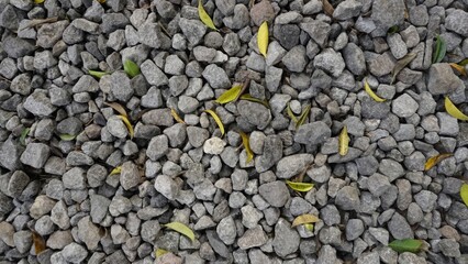 Gray Gravel Texture With Scattered Green And Yellow Leaves