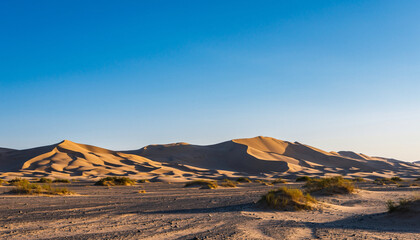 Golden sand dunes under a clear blue sky at sunrise.