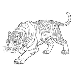 Fototapeta premium Detailed Tiger Line Drawing Ready to Color Dynamic Stripes and Paws Illustration