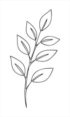 Simple hand drawn outline of a delicate leafy branch