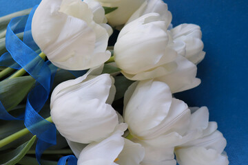 greeting card design. bouquet of tulips on a white background and space for text	