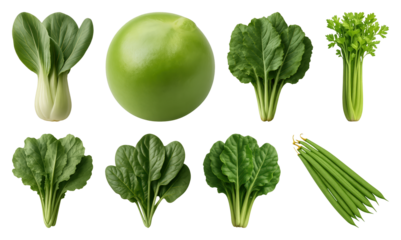 Fresh green leafy vegetables assortment