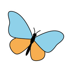 A beautiful butterfly vector illustration