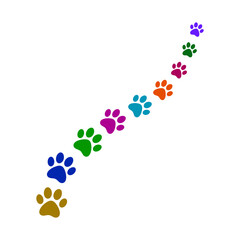 colorful foot points vector illustration