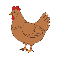 A hen vector illustration, chicken,