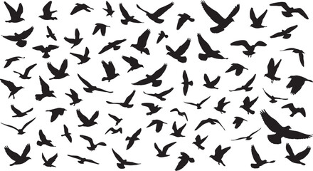 black silhouette of bird flock flying on white background, vector