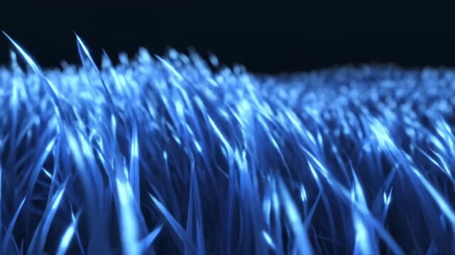 Blue Grass Blades Moving in the Wind, Dark Background