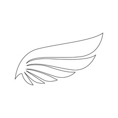 feather isolated on white