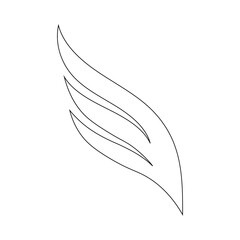 feather on white background