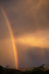 Arc-en-ciel un soir d'orage en Namibie