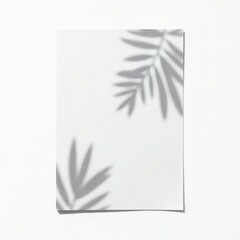 Minimalist white canvas displaying soft shadow overlays of tropical palm leaves