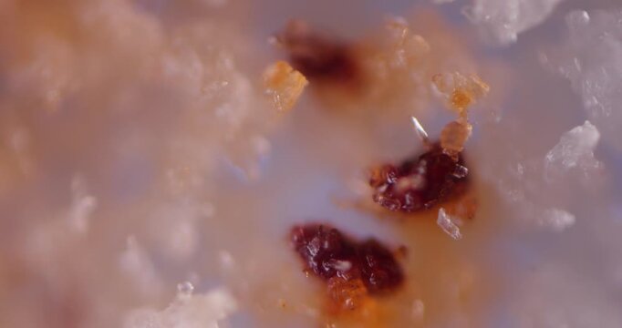 Astaxanthin (C40H52O4) Particles Dissolving in Water under Microscope, Potent Antioxidant Superfood Supplement used for Cell Protection, Health Research in Chemical Lab, Bioactive Substance