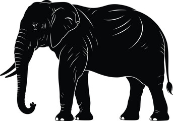 Detailed Elephant Silhouette &ndash; Isolated on Transparent Background Black Wildlife Vector Illustration