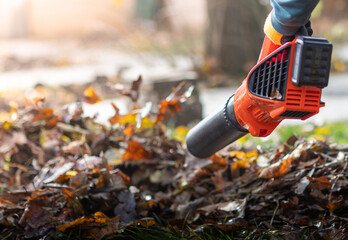 Naklejka premium Person using a leaf blower to clear the leaves
