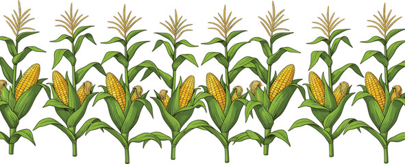 Obraz premium Corn plant pattern vector illustration showing ripe maize cobs and green leaves arranged in seamless agricultural design