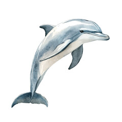 Watercolor vector illustration of Dolphin, isolated on a white background. © deltrion