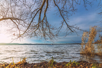 Winter Landschaft am Berliner M&uuml;ggelsee.