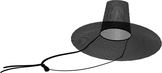 gat(Korean traditional hat made of bamboo and horsehair)