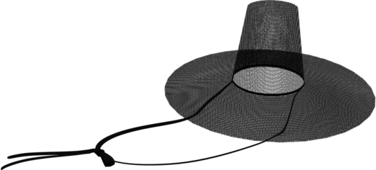 gat(Korean traditional hat made of bamboo and horsehair)