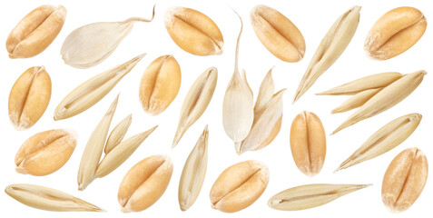 Wheat seeds and oat grains isolated on white background, collection