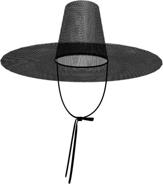 gat(Korean traditional hat made of bamboo and horsehair)