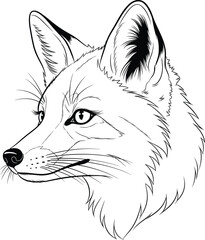 Fox Face Illustration &ndash; Isolated on Transparent Background Detailed Wild Fox Head Line Art Vector