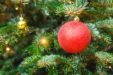 Bright red ornament shines on green Christmas tree amidst twinkling lights and golden decorations