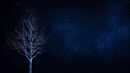 Bare winter tree under falling snow at night with empty space for text. Peaceful Christmas or New Year animation with calm snowy night atmosphere - Powered by Adobe