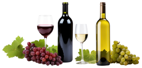 Elegant wine bottles and glasses