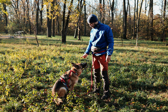 A man in outdoor clothing trains a German Shepherd wearing a muzzle in a sunny forest clearing. The scene conveys obedience, guidance, and active dog handling.
