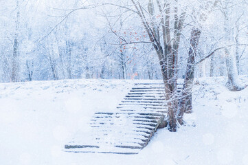 Fototapeta premium Winter landscape in cold tones - winter frosty trees and ancient stone stairs in the winter park under snowfall