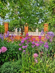 Colorful Summer Garden with Pink and Purple Flowers – Blooming Floral Landscape