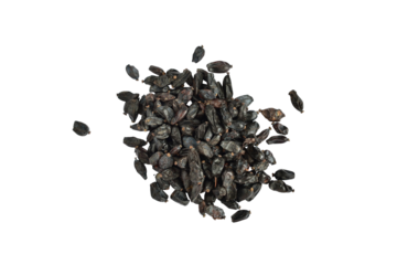 A pile of barberry fruits isolated on a PNG background.