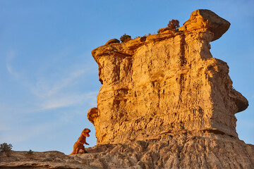 Funny scene badlands in Los Monegros. Tozal Colasico. Huesca. Spain © h368k742