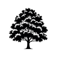 Silhouette of a Majestic Oak Tree. © Dira