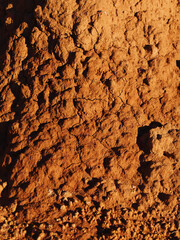 A tight shot of a red stone cliff illuminated by warm sunlight, showing natural layers and erosion marks. Suitable for backgrounds or geology themes.