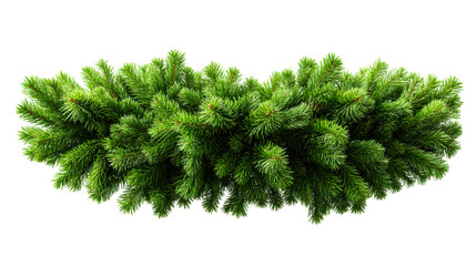 Festive fir branch garland with lush green needles, perfect for holiday decorations and seasonal winter celebrations on a white background