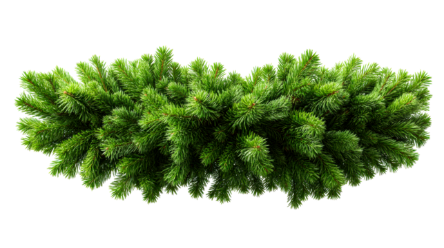 Festive fir branch garland with lush green needles, perfect for holiday decorations and seasonal winter celebrations on a white background - Powered by Adobe